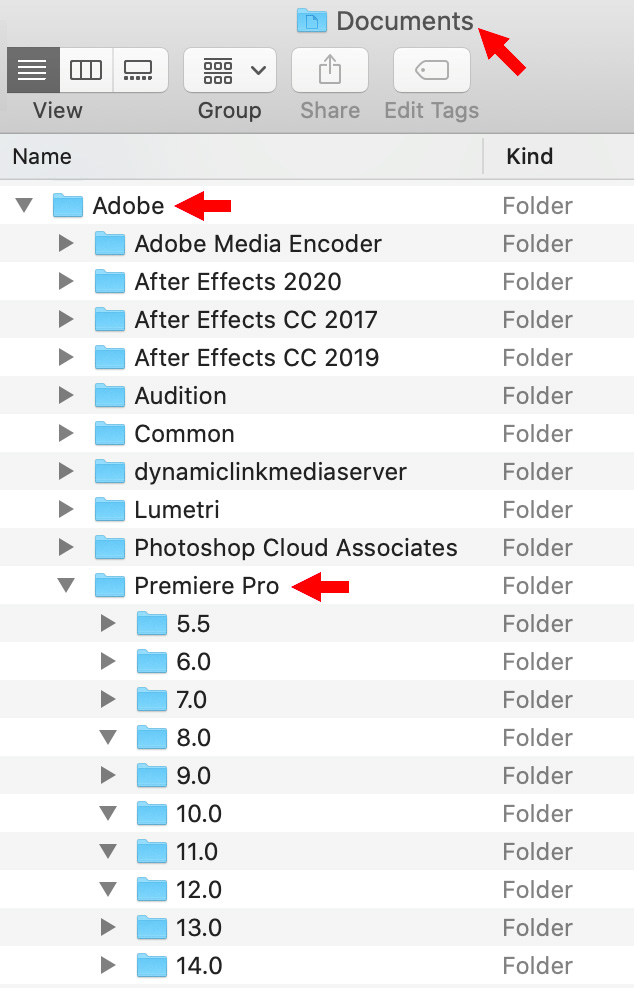 what does my mac need for adobe premiere